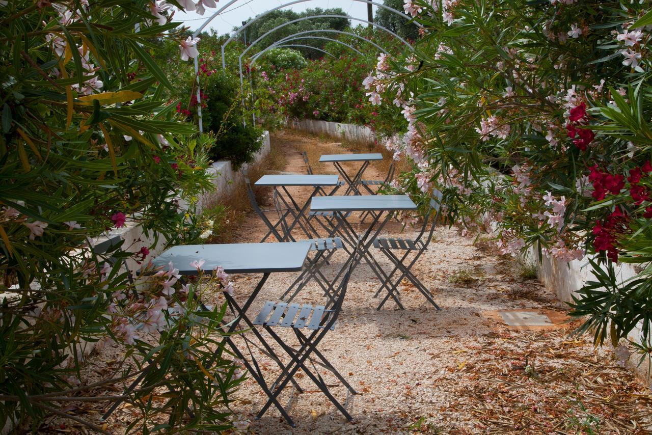 Fikus - The Apulian B&B Ceglie Messapica Εξωτερικό φωτογραφία